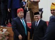 Lingkungan Rusak Akibat Tambang Jadi Sorotan, Politisi PKB Minta Gubernur Sulteng Evaluasi Kinerja Kadis DLH