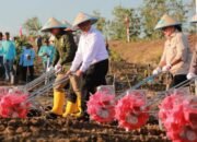 Menteri Pertanian Desak Pengawasan Ketat, Bongkar Oplosan Beras Subsidi SPHP
