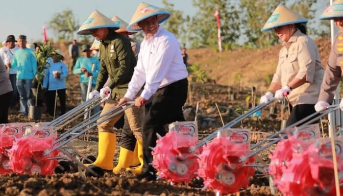 Menteri Pertanian Desak Pengawasan Ketat, Bongkar Oplosan Beras Subsidi SPHP