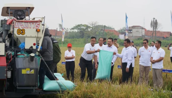 Kejaksaan RI Ubah Aset Sitaan Jadi Lahan Produktif untuk Pangan